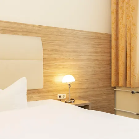 科勒斯塔帕克宫殿式酒店 奥得河畔法兰克福