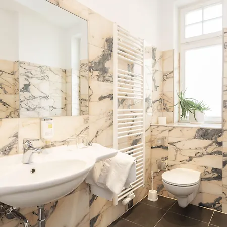 科勒斯塔帕克宫殿式酒店 3* 奥得河畔法兰克福