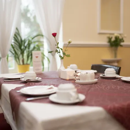 科勒斯塔帕克宫殿式酒店 3* 奥得河畔法兰克福