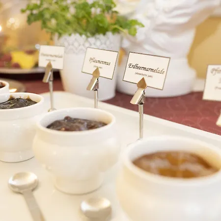 科勒斯塔帕克宫殿式酒店 酒店 奥得河畔法兰克福