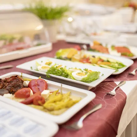 酒店 科勒斯塔帕克宫殿式酒店 奥得河畔法兰克福